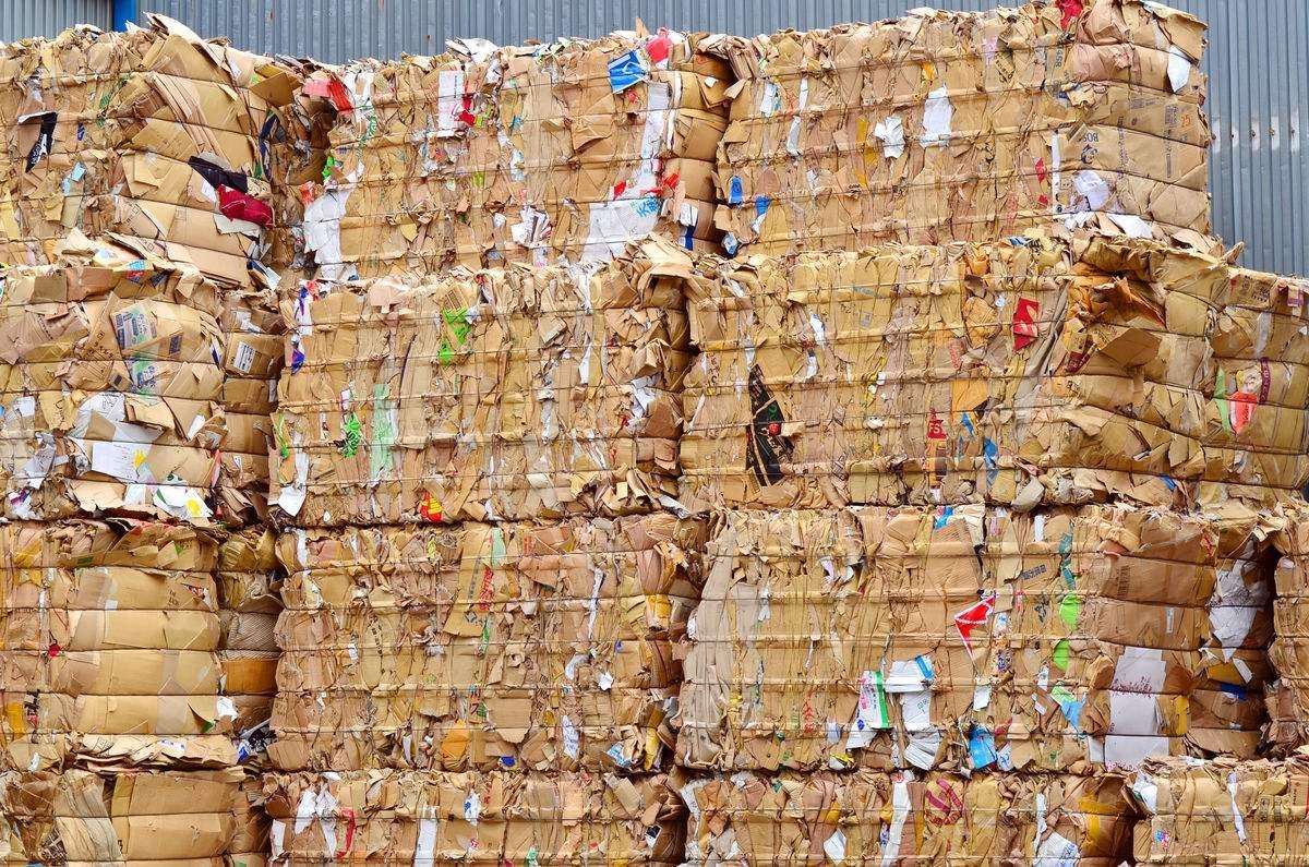 廢紙(zhi)市場綜述：局部(bù)反彈與價格波(bō)動