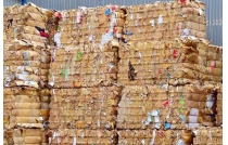 廢紙市場綜(zōng)述：局部反彈與(yu)價格波動